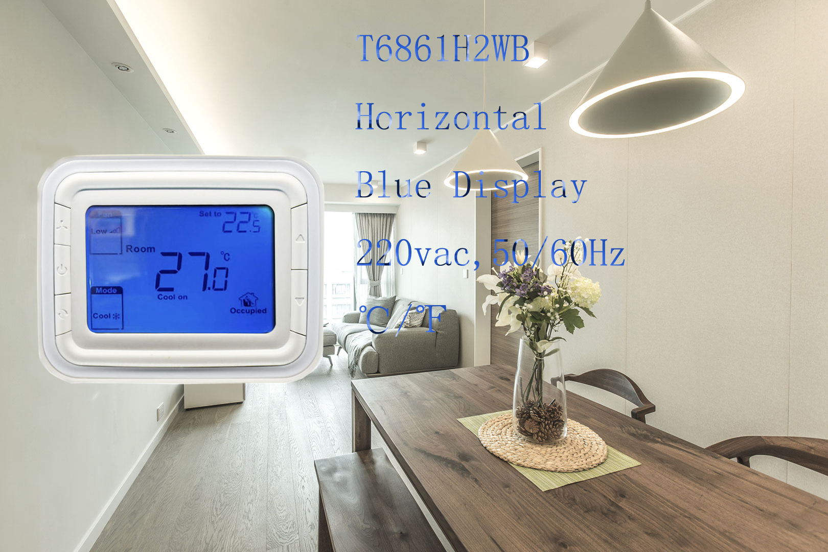 T6861-Blue-display.jpg