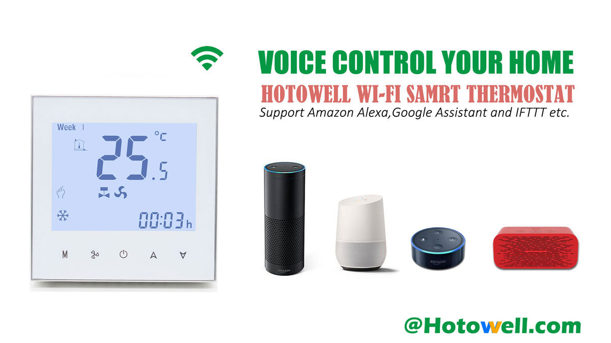 echo-features-WF01-FC-web1200.jpg