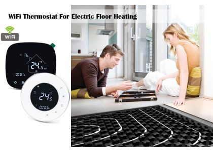 Which thermostat would be the most popular in 2020?