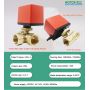 Motorized Ball Valve Canada