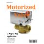 Válvula de zona motorizada solenoide de cobre amarillo con mejores ventas del hilo de NPT / BSP para FCU