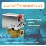 Válvula de zona motorizada solenoide de cobre amarillo con mejores ventas del hilo de NPT / BSP para FCU