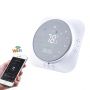 Termostato Wifi programable fresco de 2 etapas