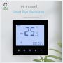 Digital Central Heating Thermostat