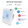 Gas Water Heater Tuya WiFi S