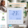 Smart Digital Temperature Controller Thermostat with Alexa Voice Control