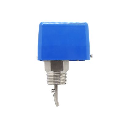 Flow Switch