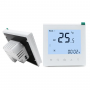 Easy Opreated Weekly Programmable Heating Radiator Thermostat Htw-Wf11 Series