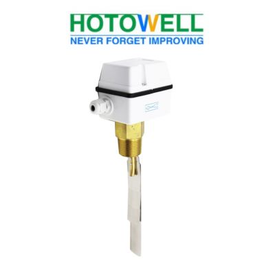 Flow Switch